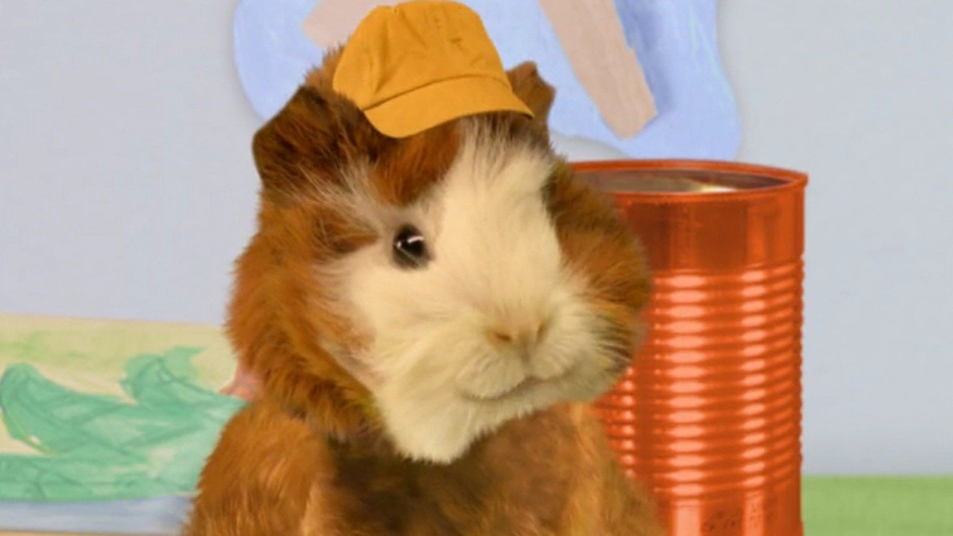 Watch The Wonder Pets! · Season 2 Full Episodes Online - Plex