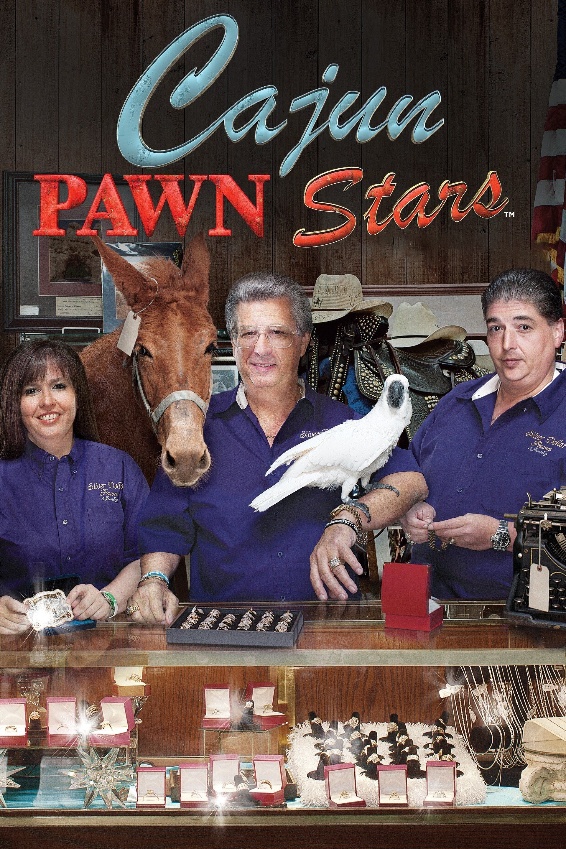 Watch Pawn Stars Season 3 Episode 6