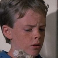 Photo of Michael Stephenson
