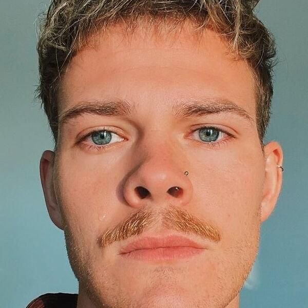 Photo of Joey's Jungle