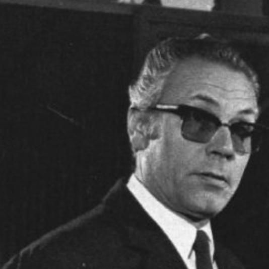 Photo of Domenico Demitri