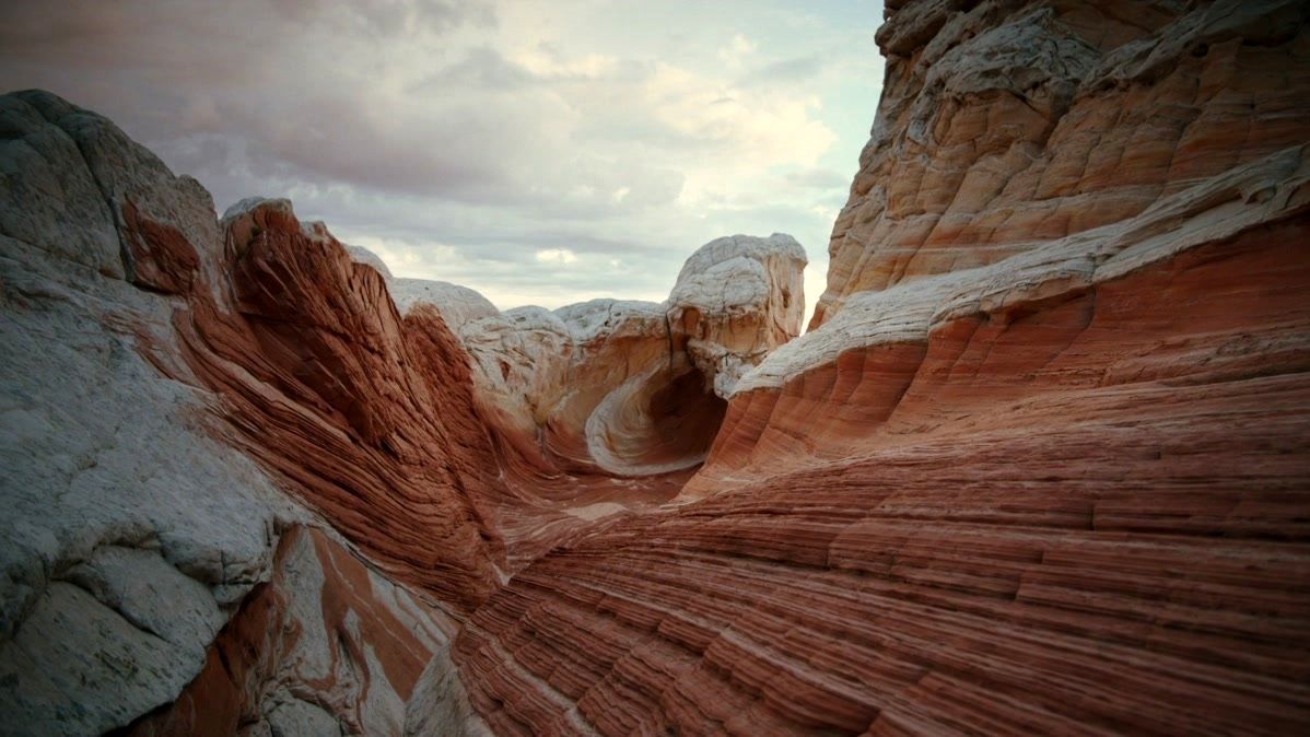 cast of voyage of time