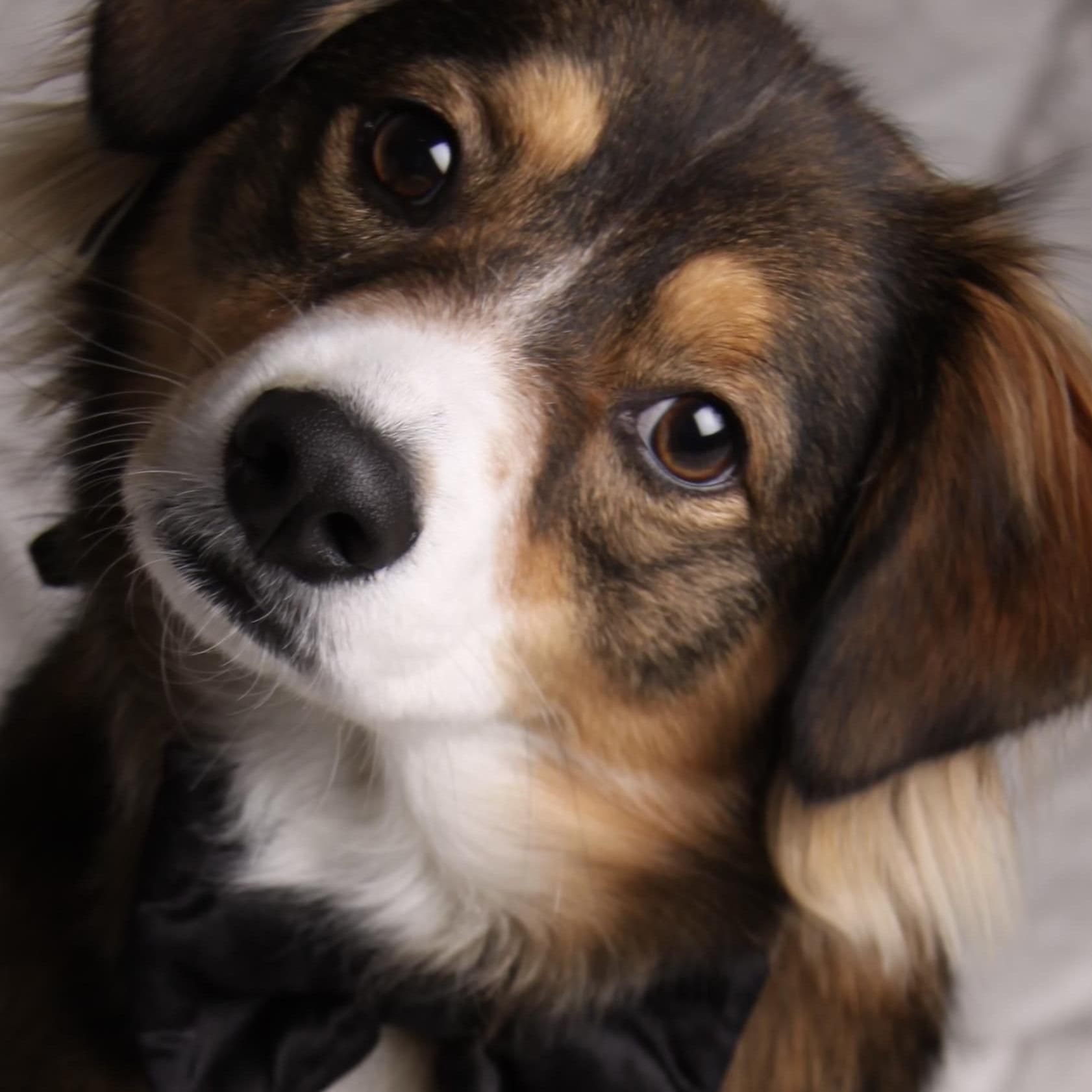 Photo of Lucky Hannah