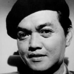 Photo of Zorro David