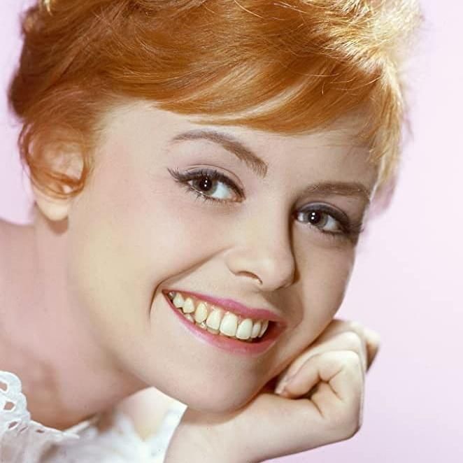 Beach Blanket Bingo (1965) Watch Full Movie Online Plex