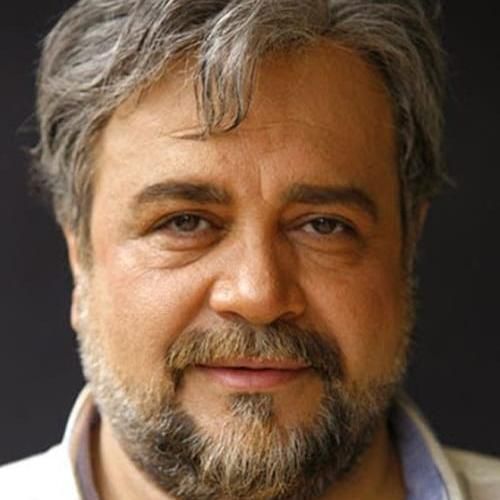 Photo of Mohammadreza Sharifinia