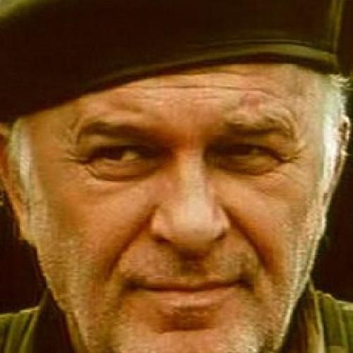 Photo of Miralem Zupčević