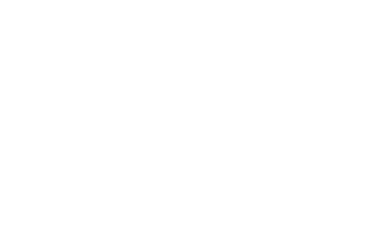 News 12 New York