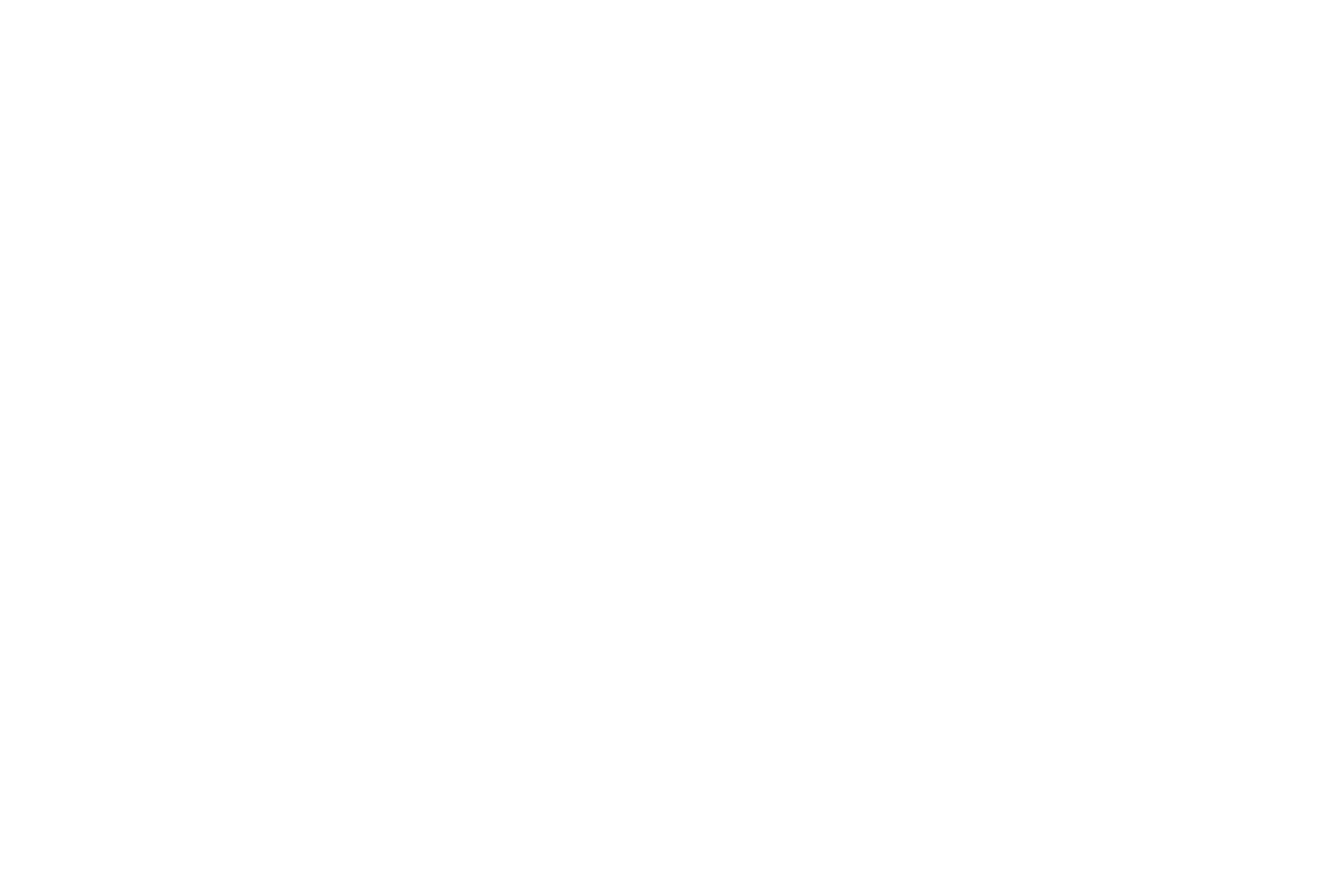 VICE