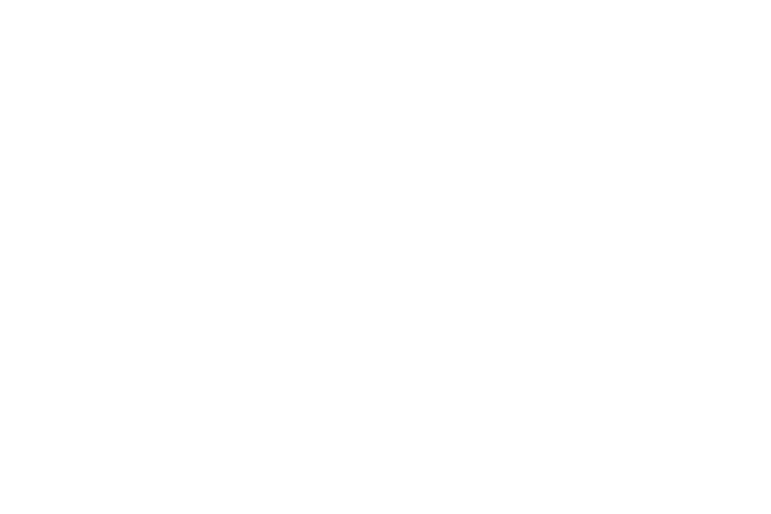 Fight Network