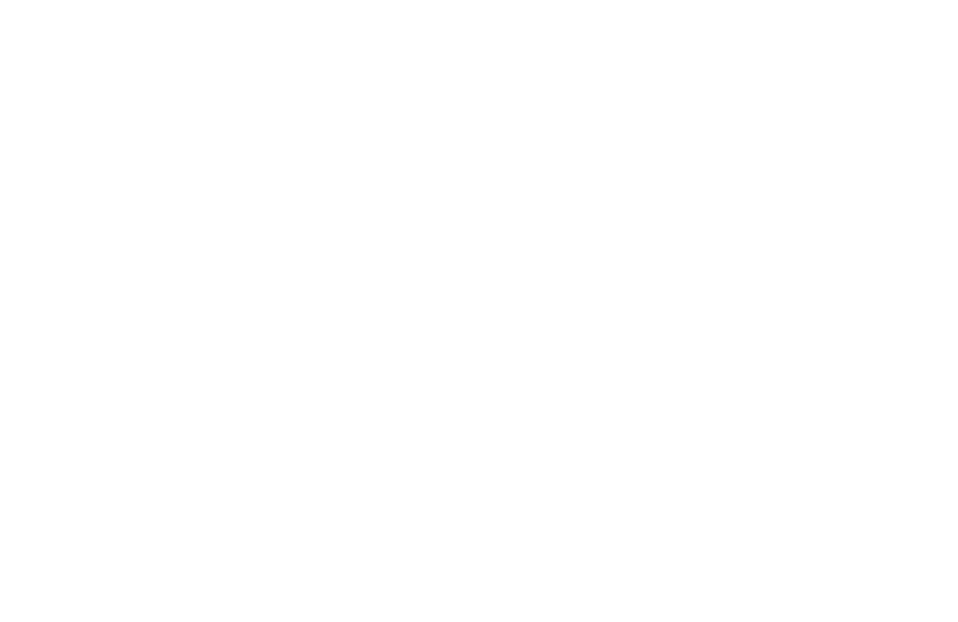 The Boat Show