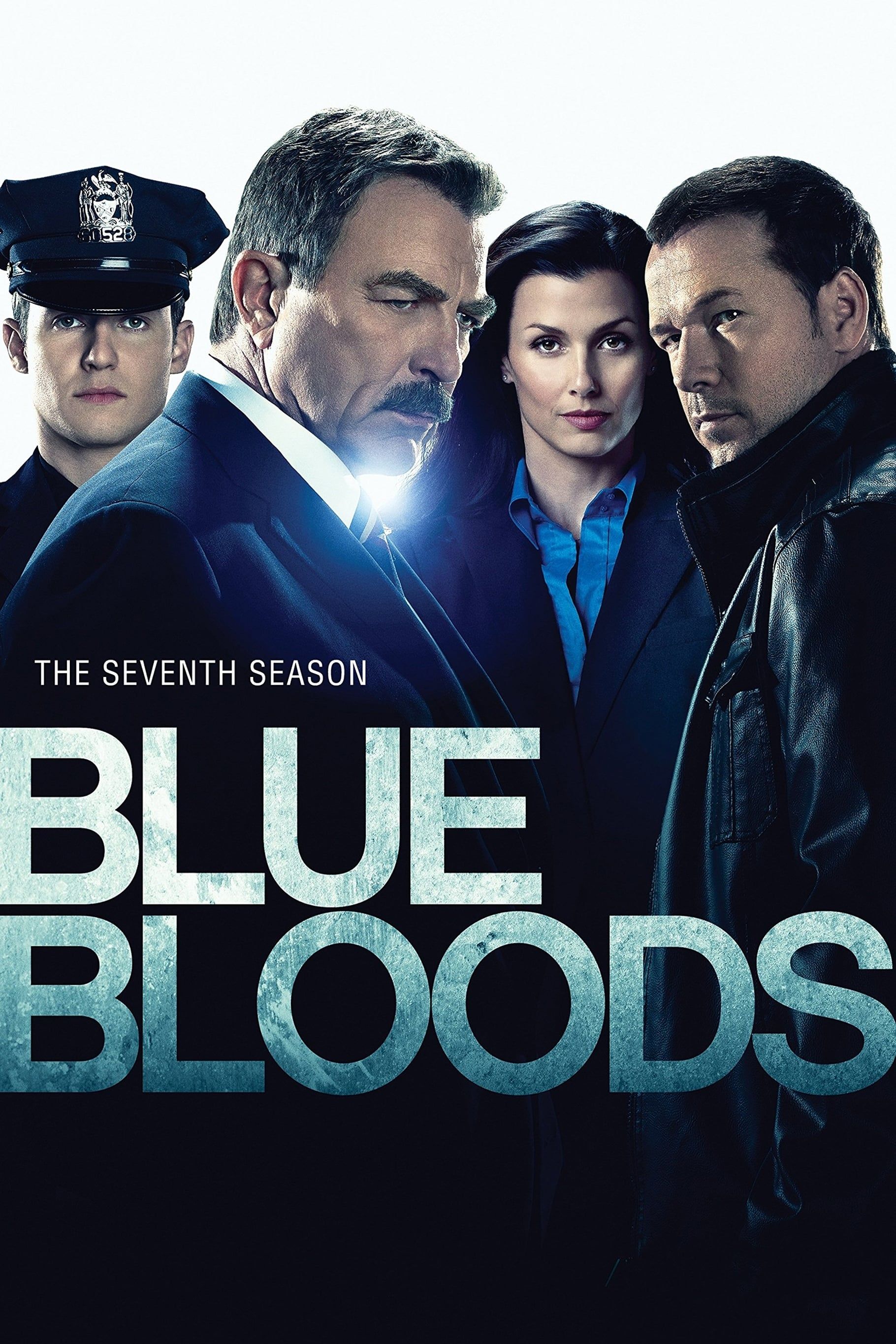 Watch Blue Bloods (2010) TV Series Free Online - Plex