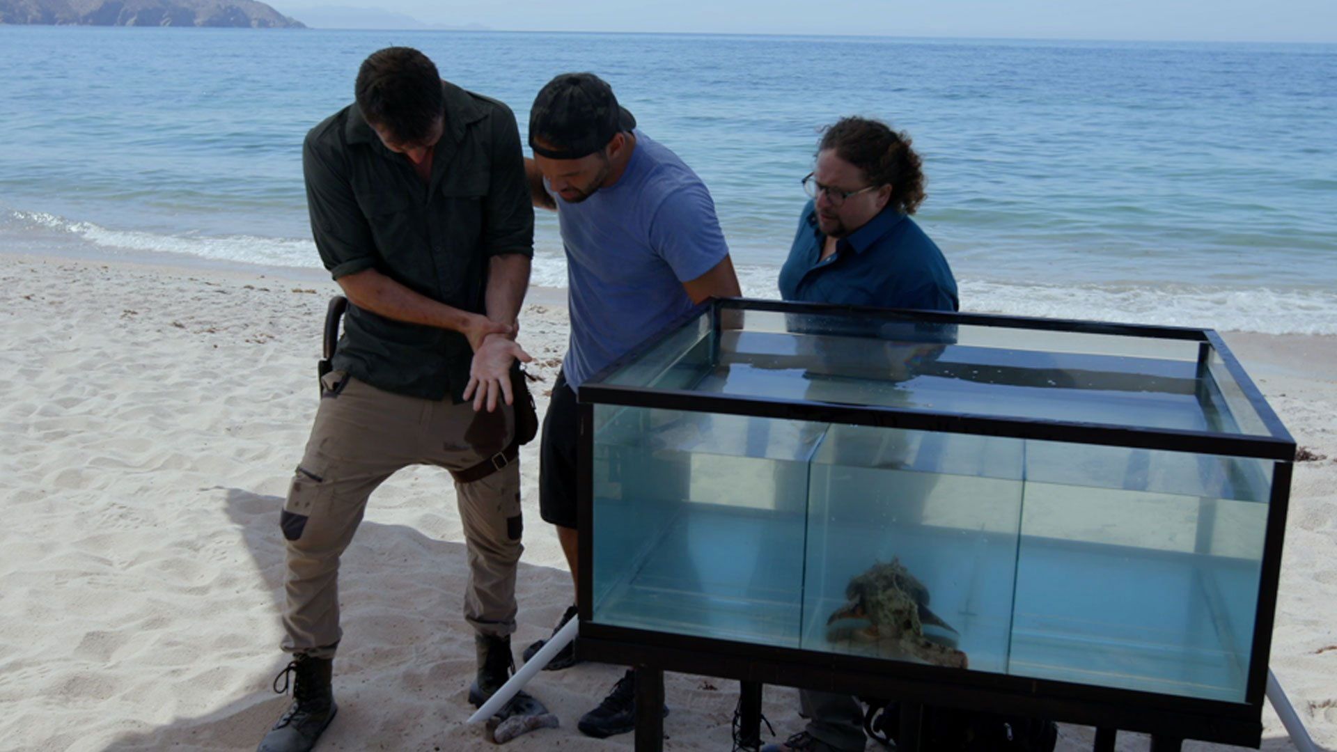 Watch Kings of Pain • Season 1 Full Episodes Online - Plex