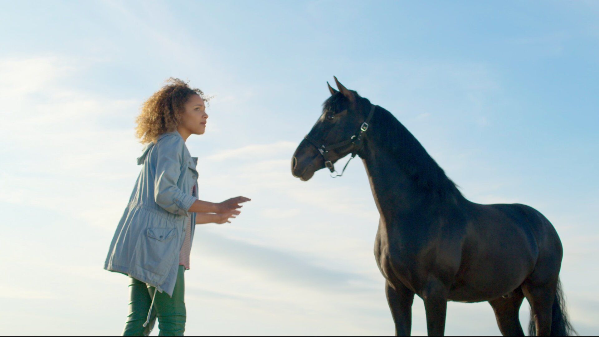 Watch Free Rein • Season 1 Full Episodes Online - Plex