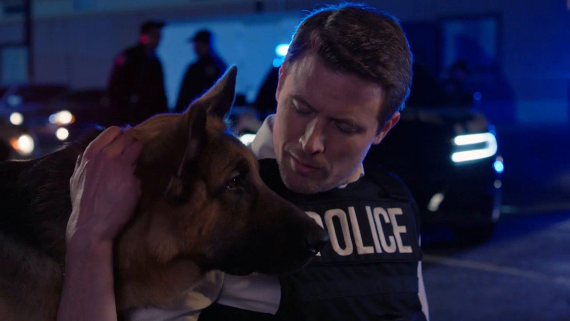 Watch Hudson & Rex • Season 2 Full Episodes Online - Plex