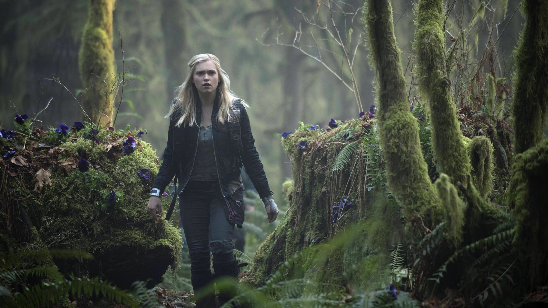 Watch The 100 • Season 1 Full Episodes Online - Plex