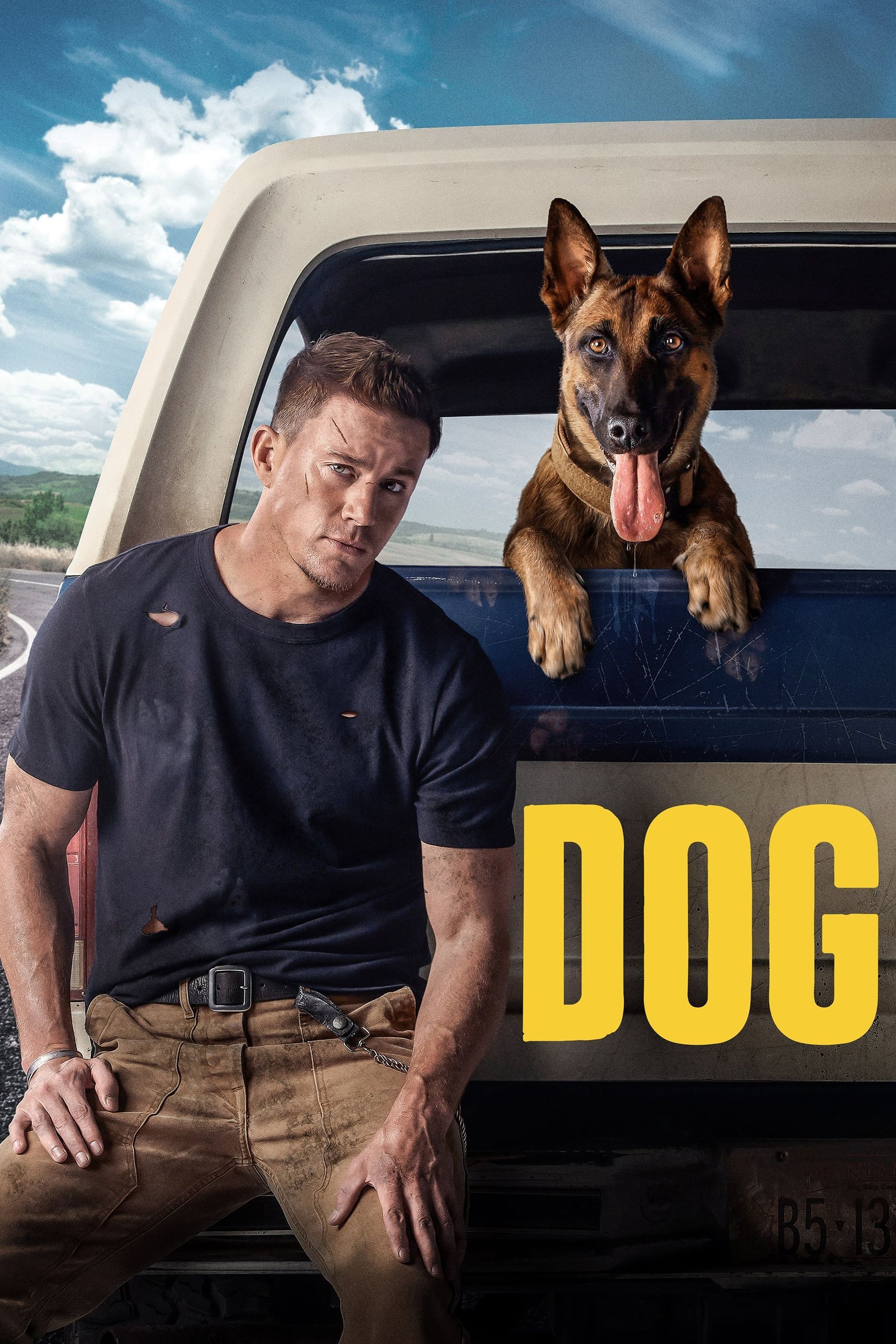 Watch Dog (2022) Full Movie Online - Plex