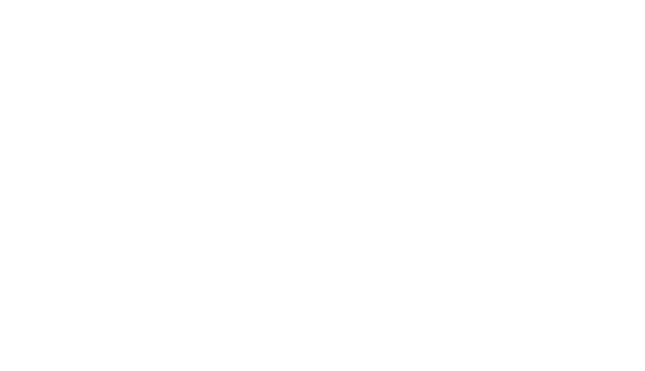 Aftershock: Earthquake in New York