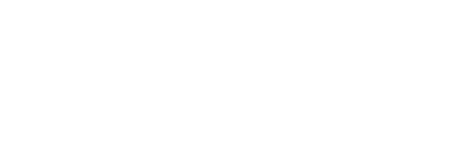 Cirque du Soleil: Without a Net