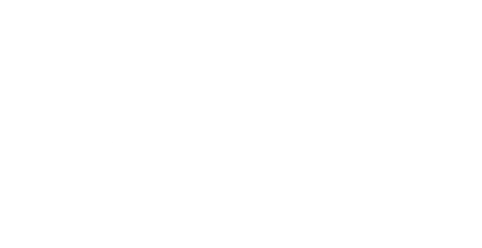 The Warriors
