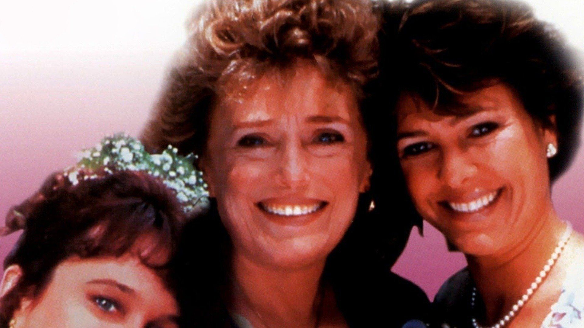 Watch Mother of the Bride (1993) Full Movie Free Online - Plex