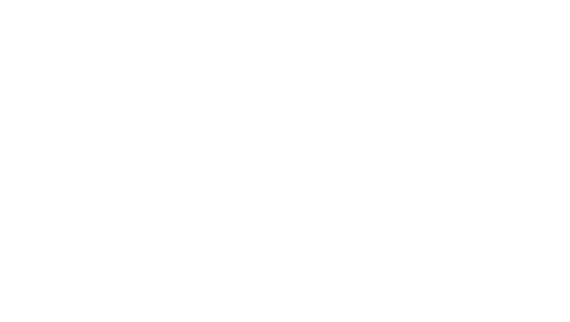 Janet Planet