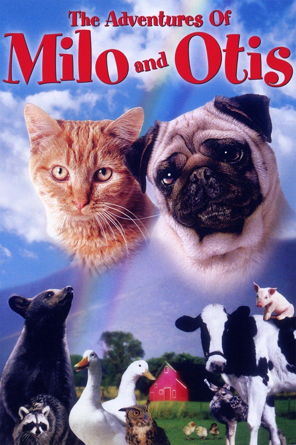 Milo And Otis What Happened After The Movie Ended - ru4kow4