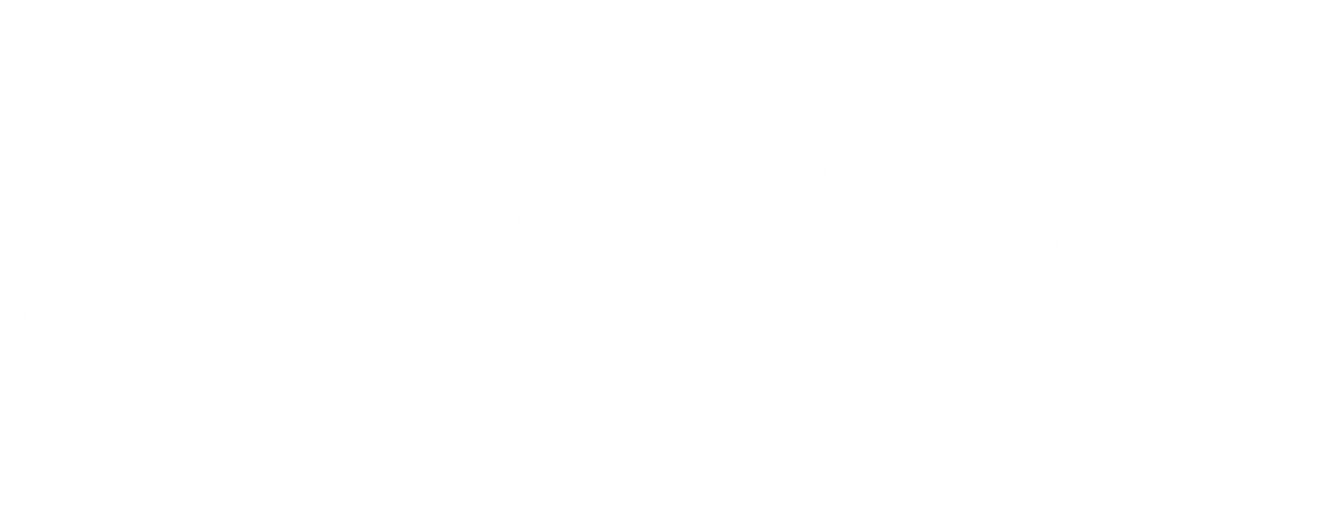 The First 48