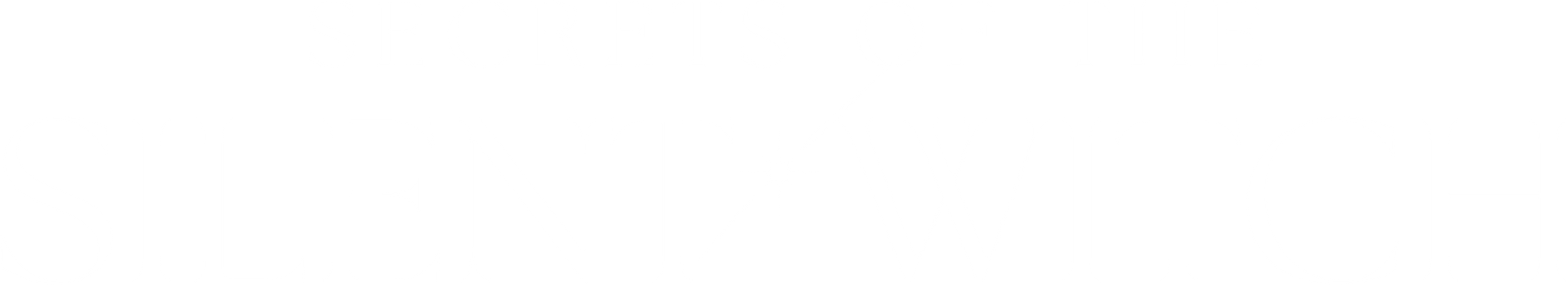 Secrets of the Silent Witch