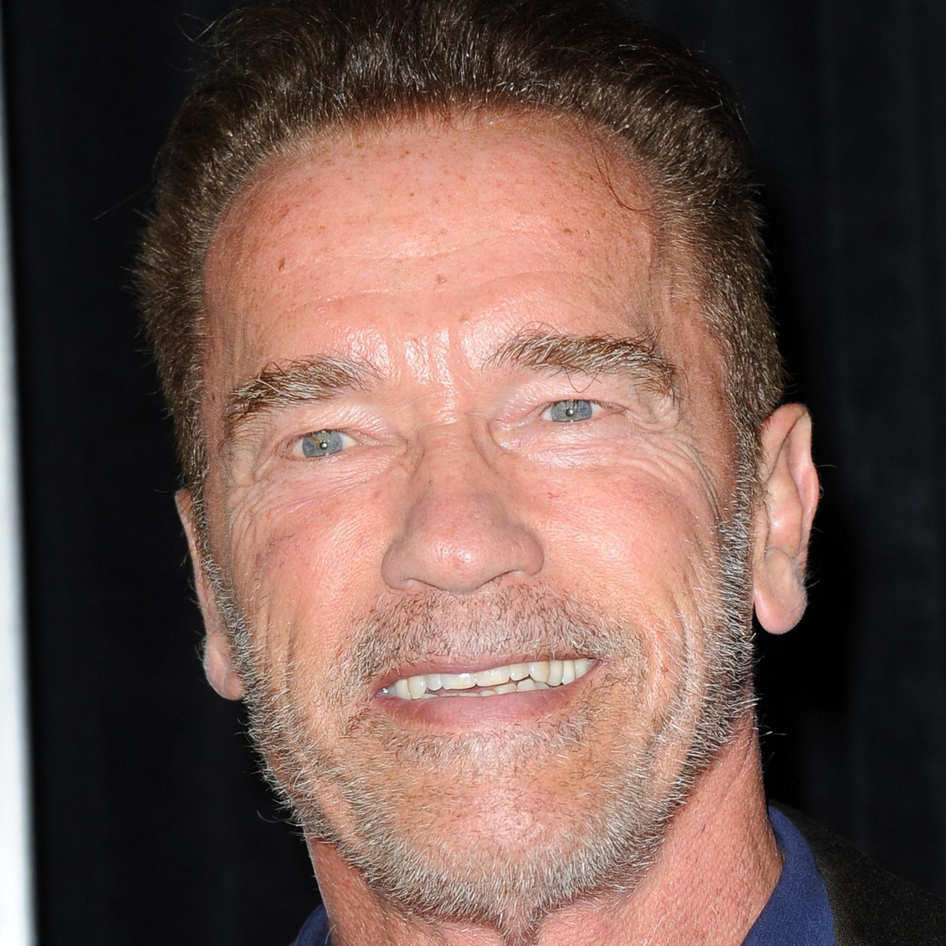 Watch Arnold · Limited Series Full Episodes Online - Plex