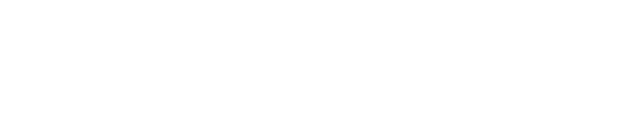 Ghost in the Shell: Stand Alone Complex