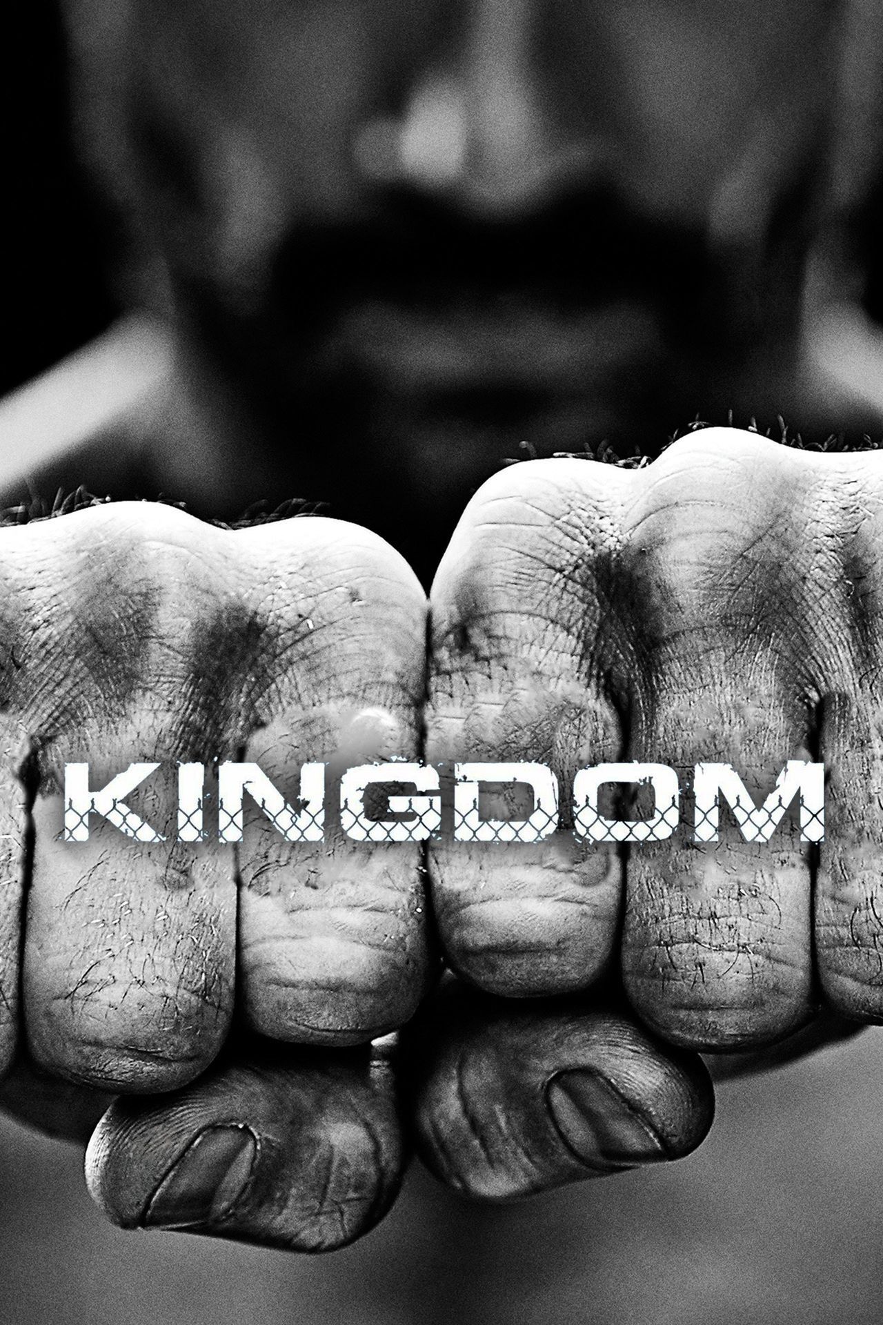 Watch Kingdom (2014) TV Series Free