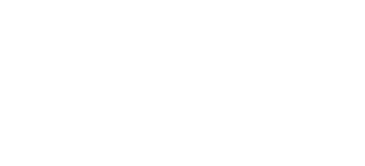 Lone Survivor