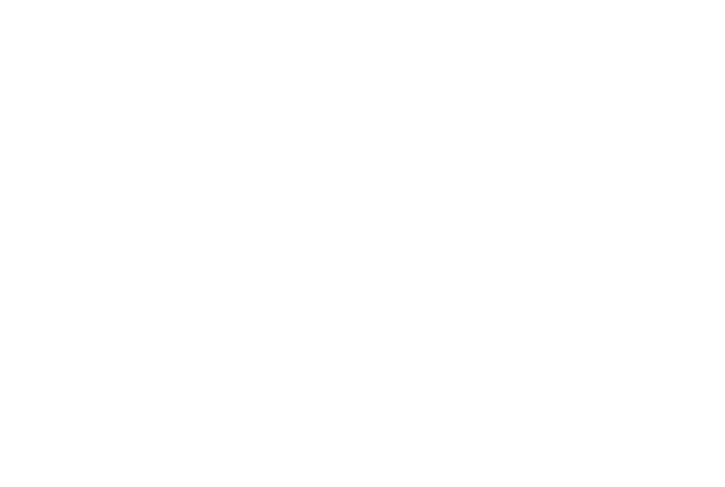 The Quiet Man