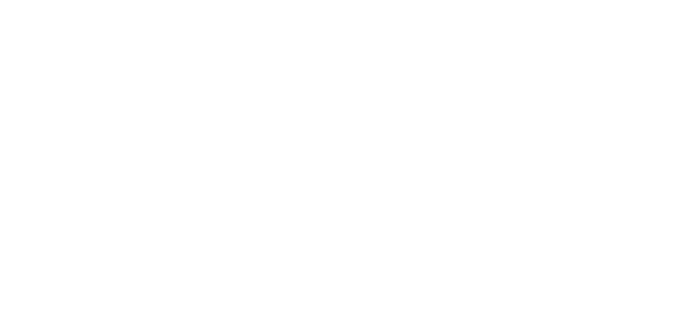 Speed 2: Cruise Control