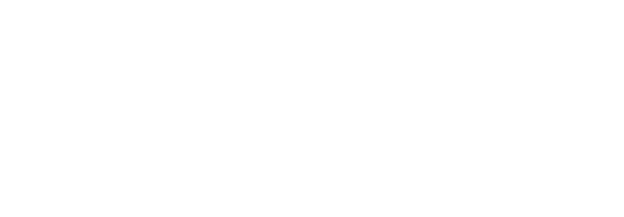 Lara Croft: Tomb Raider - The Cradle of Life
