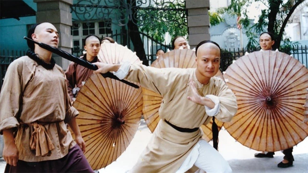 Martial Art Master Wong Fei Hong (1992) - Plex