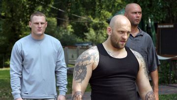 mediaverse by plex tv plex