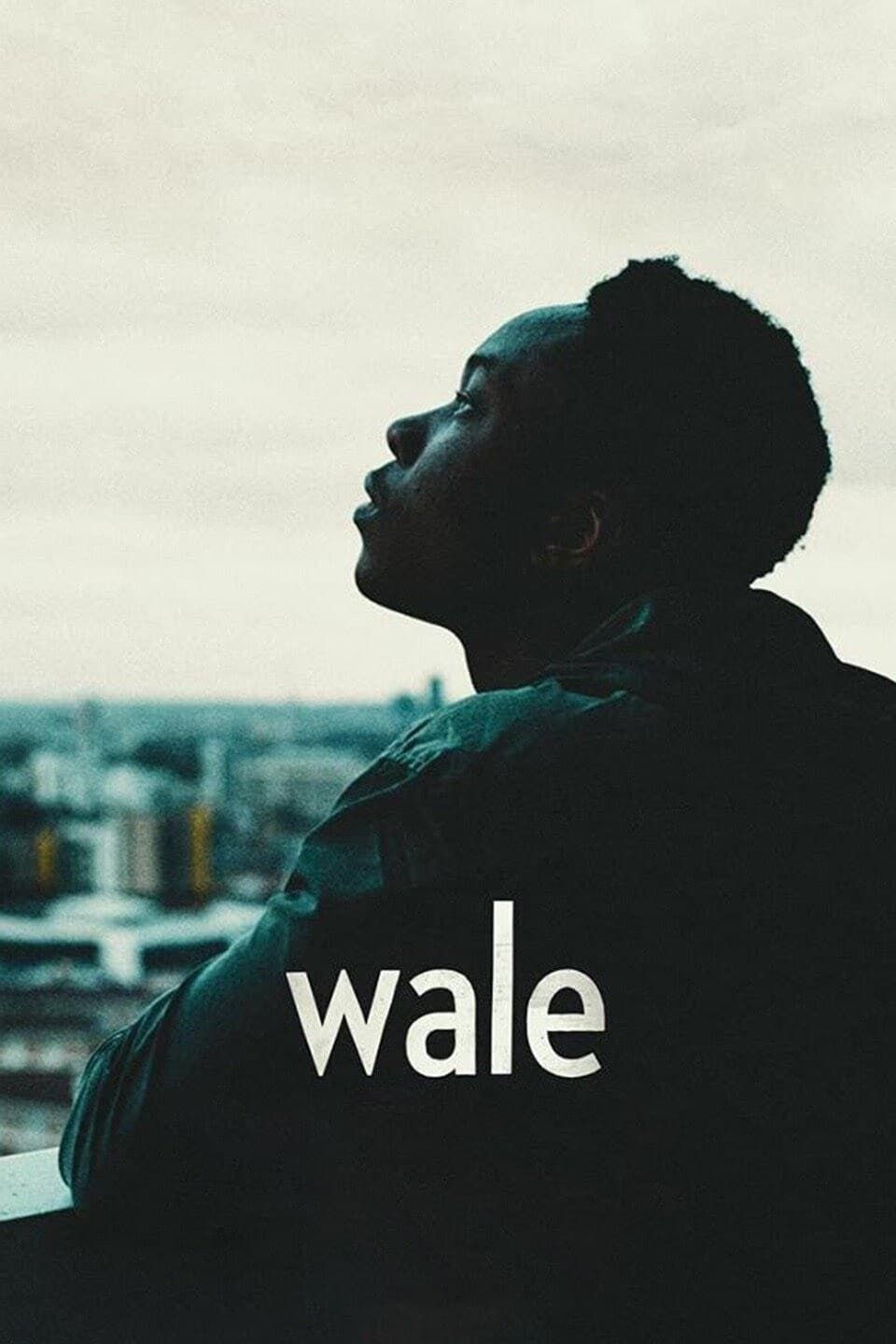 Watch Wale (2018) Full Movie Free Online - Plex