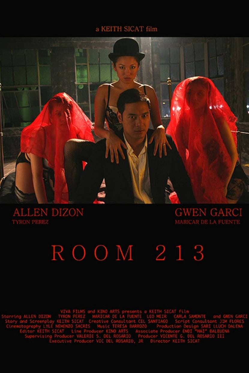 Room 213 (2008) - Plex