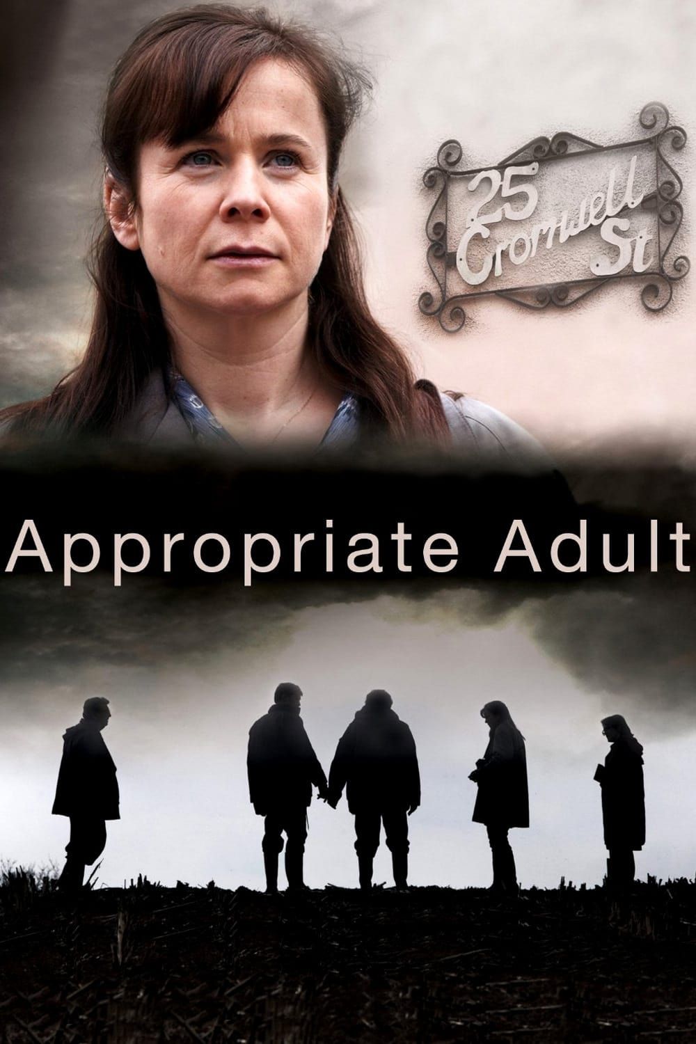 Watch Appropriate Adult (2011) TV Series Free Online - Plex