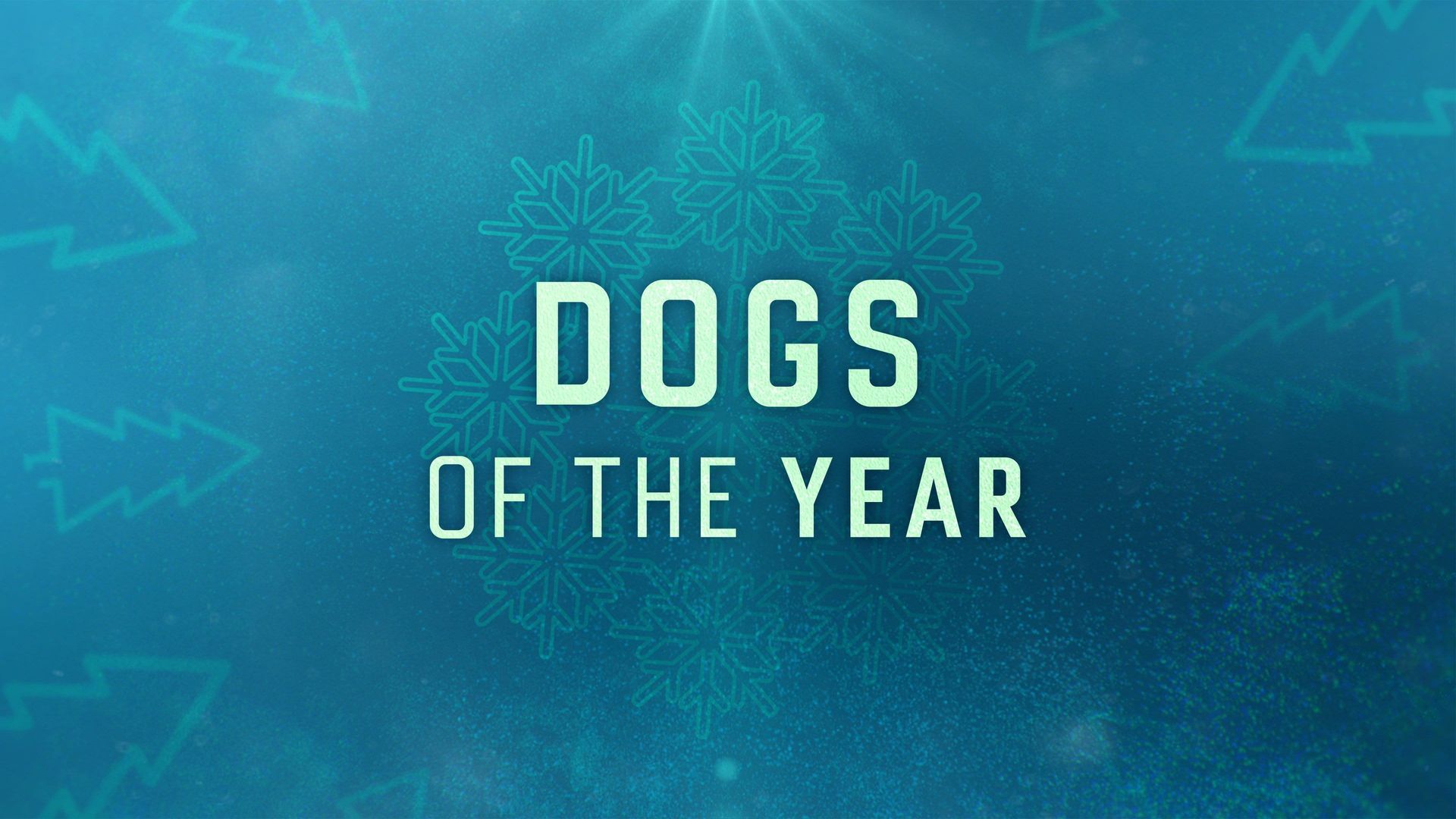 Dogs of the Year (2019) - Plex