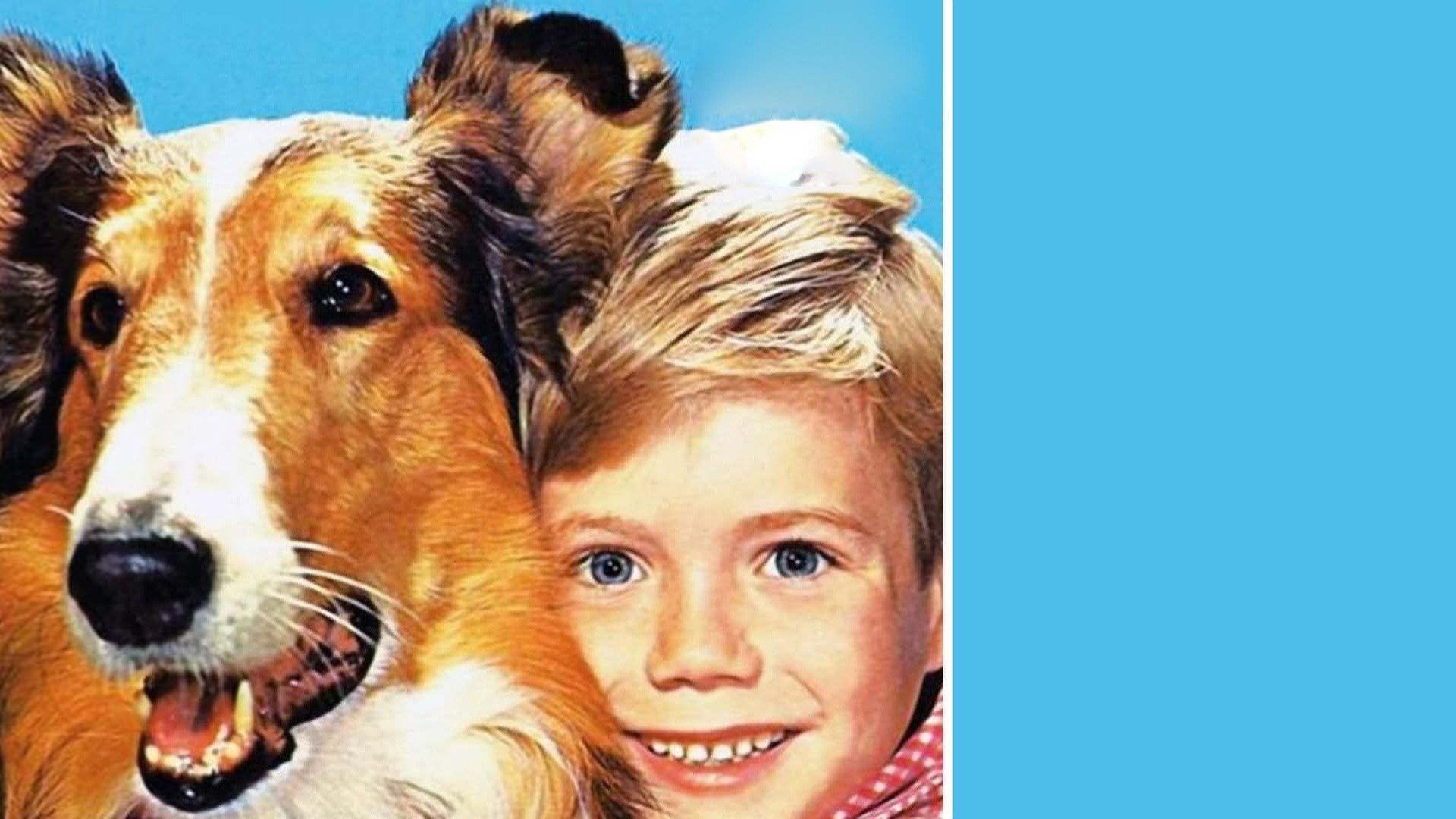 Lassie A New Beginning 1978 Plex