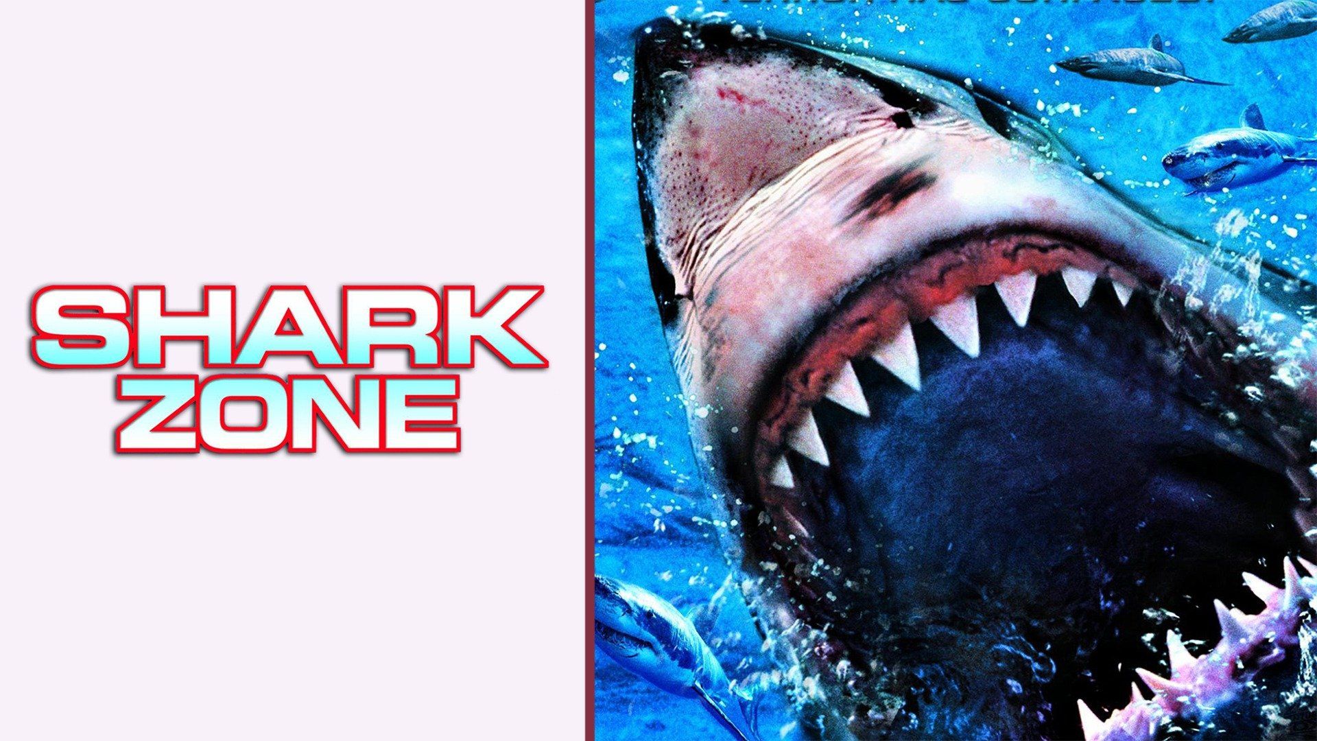 Watch Shark Zone (2003) Full Movie Free Online - Plex