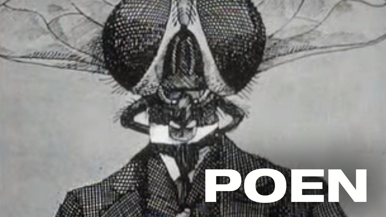 Poen (1967) Plex