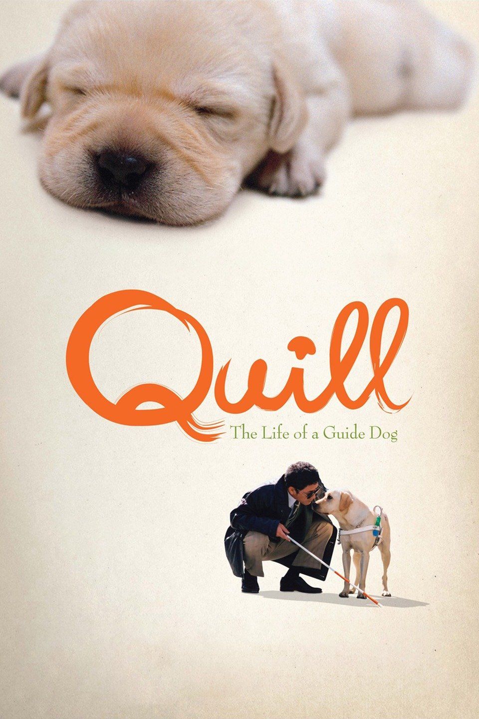 Watch Quill: The Life of a Guide Dog (2004) Full Movie Free Online - Plex