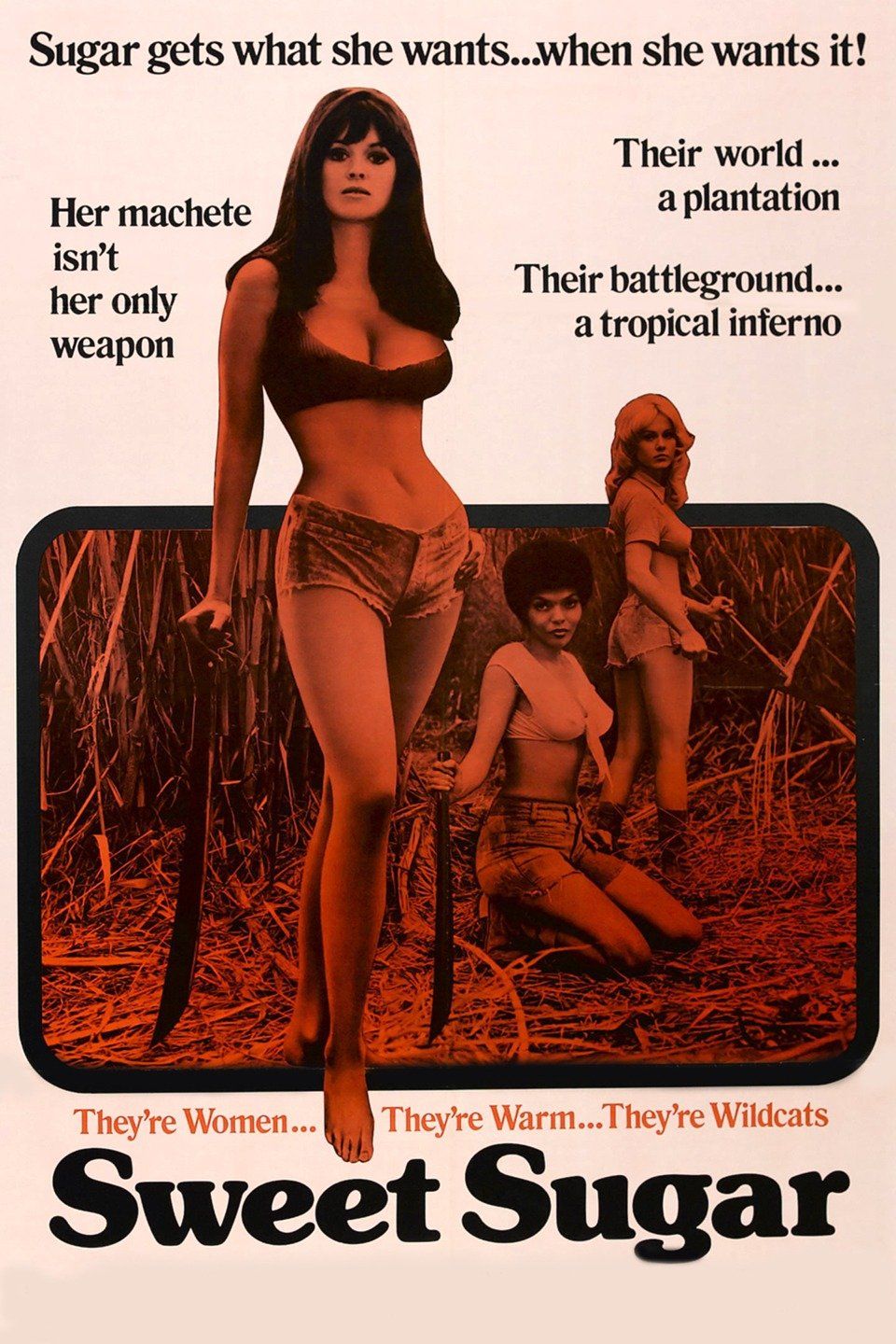 Watch Sweet Sugar (1972) Full Movie Free Online - Plex