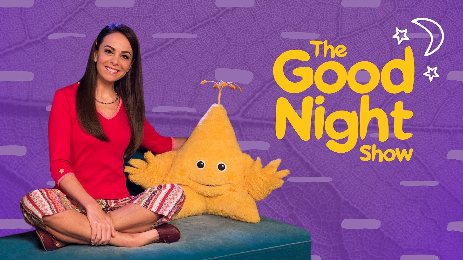The Good Night Show (2005) Plex