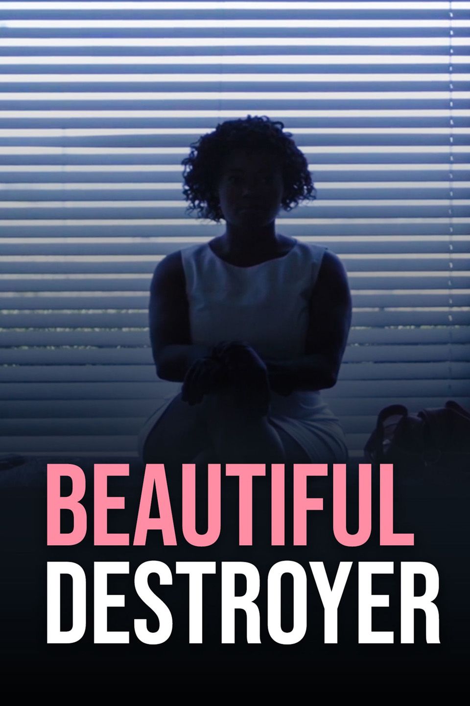 Watch Beautiful Destroyer (2015) Full Movie Free Online - Plex