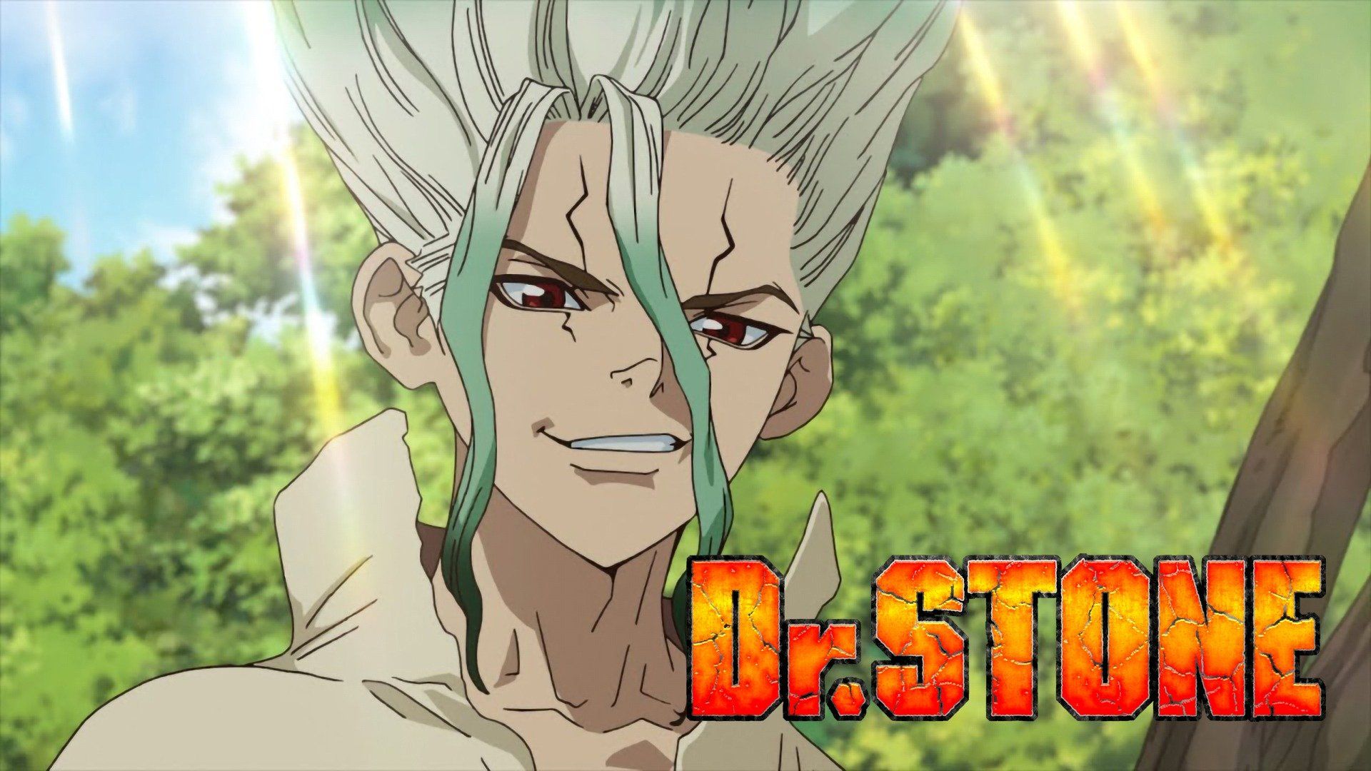 Доктор стоун фото Dr Stone Dr. stone, Anime, Stone world